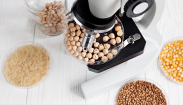 seguridad-alimentaria